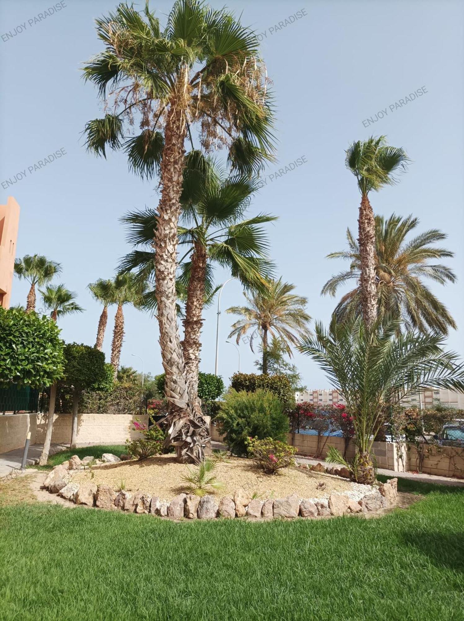 Enjoy Paradise Apartment